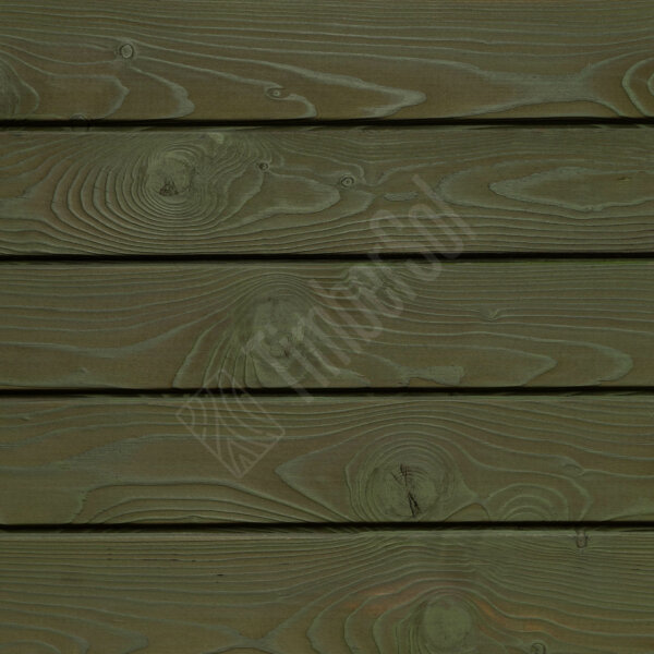 Moss Green Larch Fencing